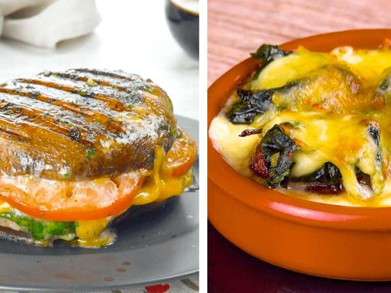 Six plats délicieux avec des champignons