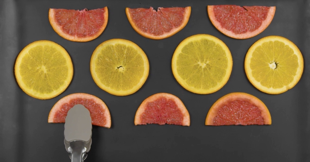 placer les pamplemousses et les oranges sur une plaque